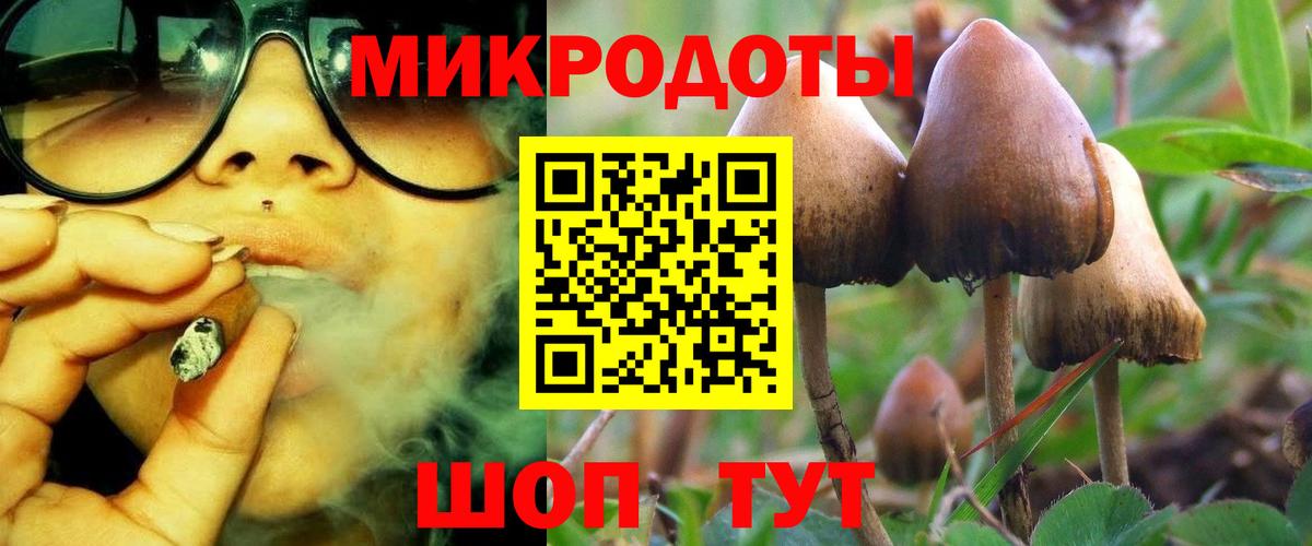 Моршанск  Галлюциногенные грибы Cubensis  Вход с VPN 